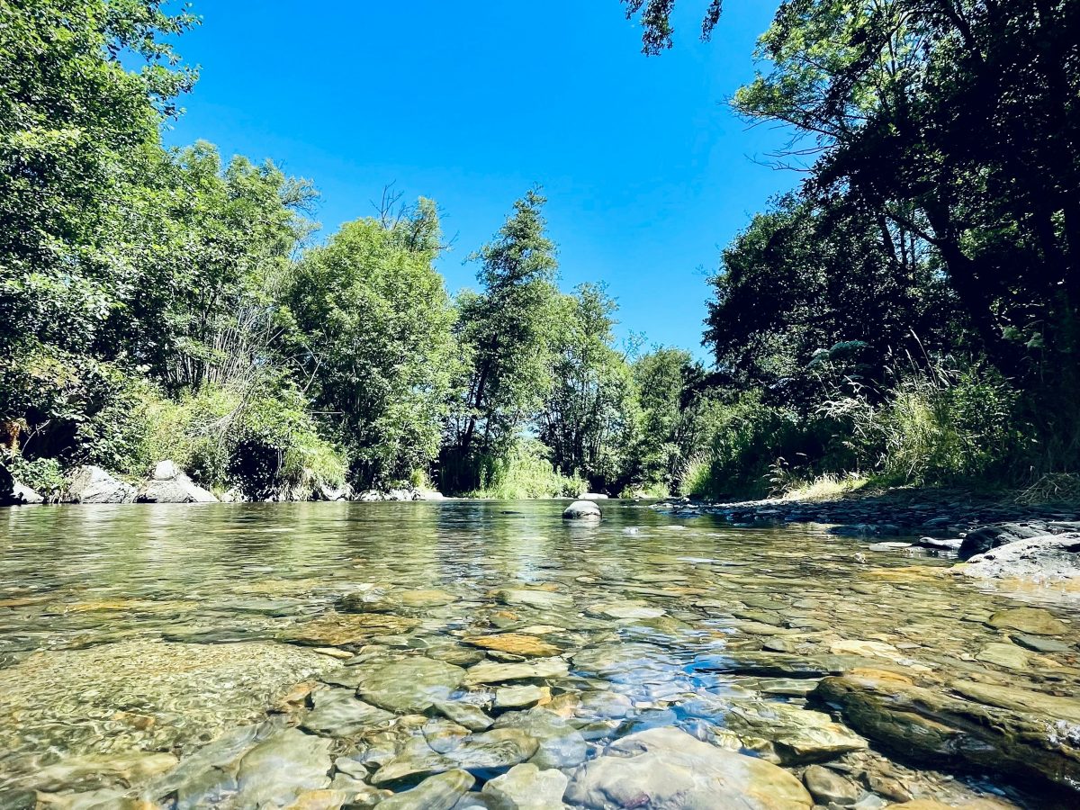 Camí del Riu — view 3