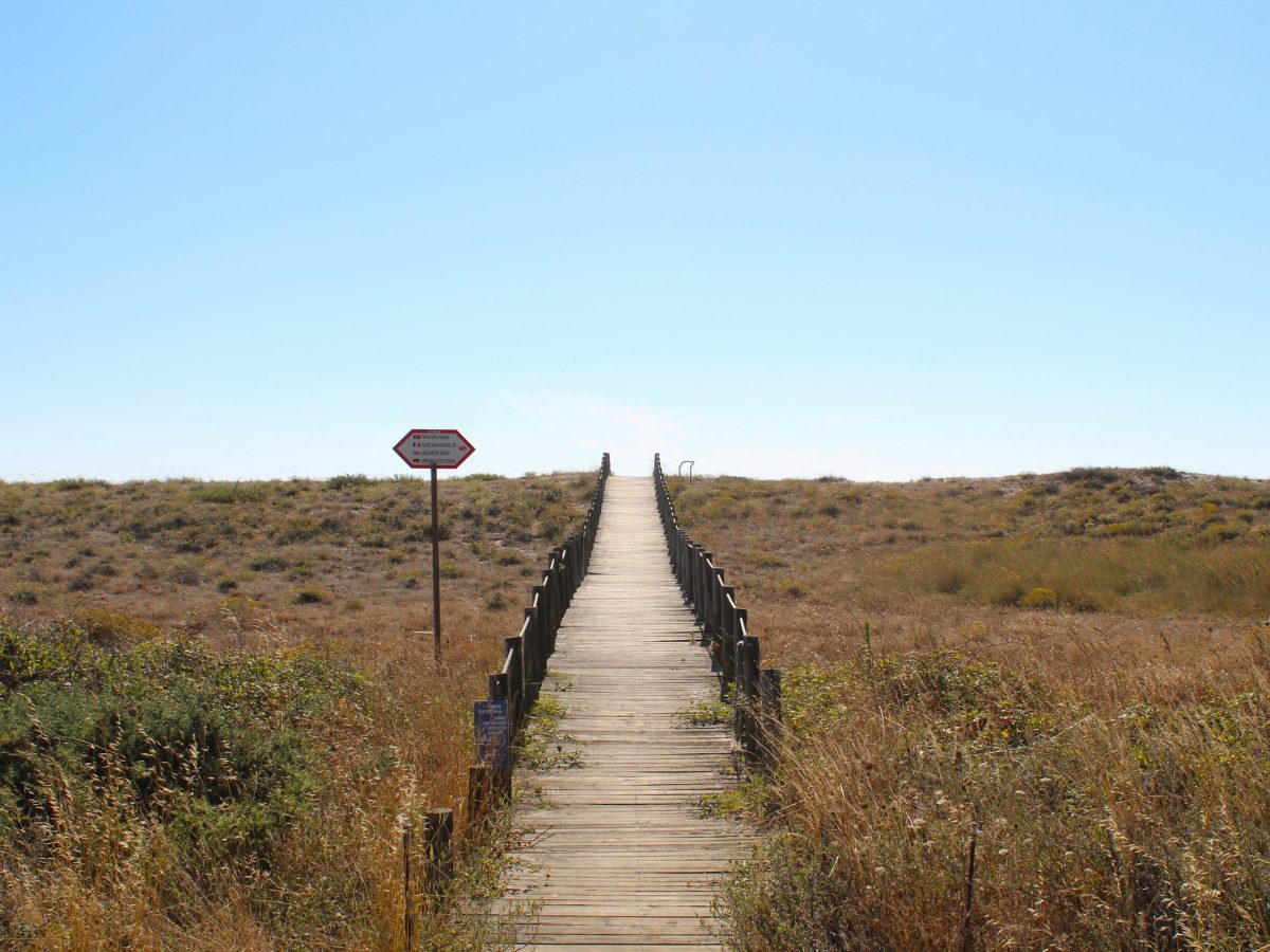 Wild Atlantic dunes, Portugal