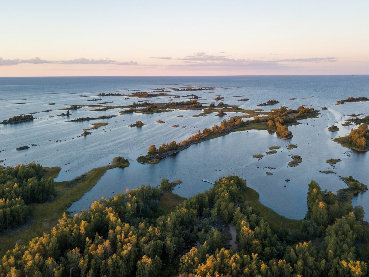 Baltic skerry coastline at dusk