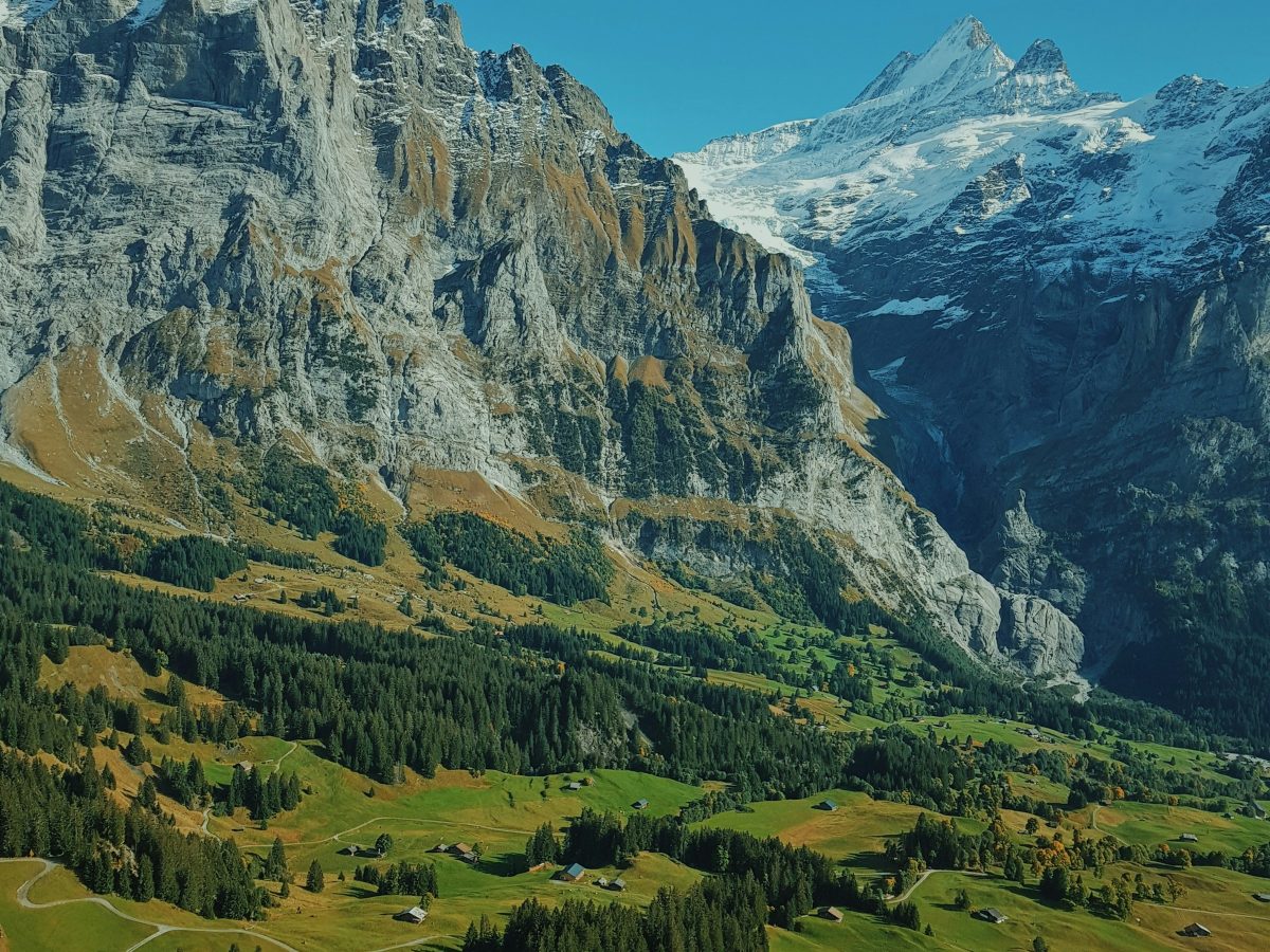 Alpine farmhouse and meadow, Tyrol