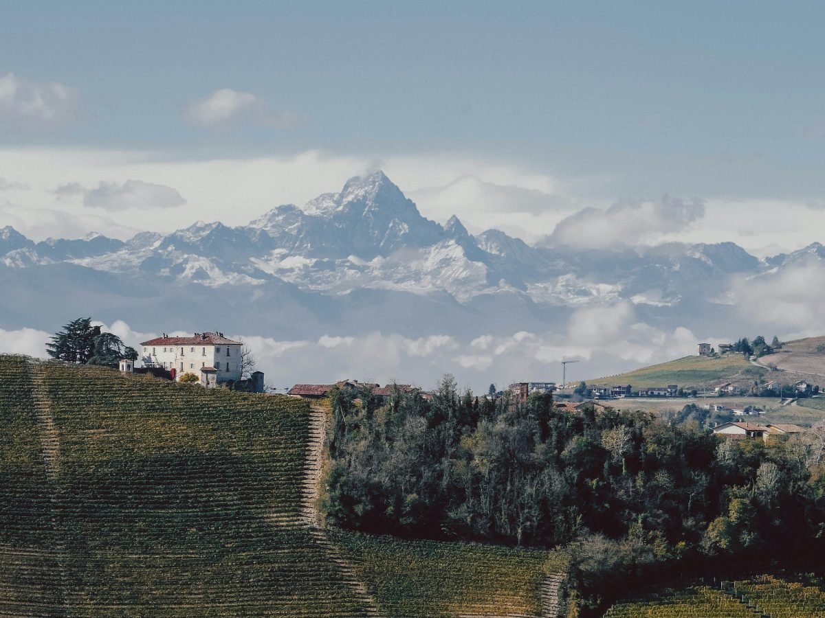 Vigna del Cane — view 1