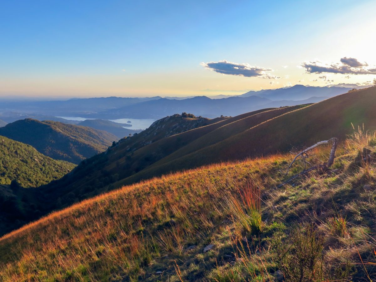 Vigna del Cane — view 4