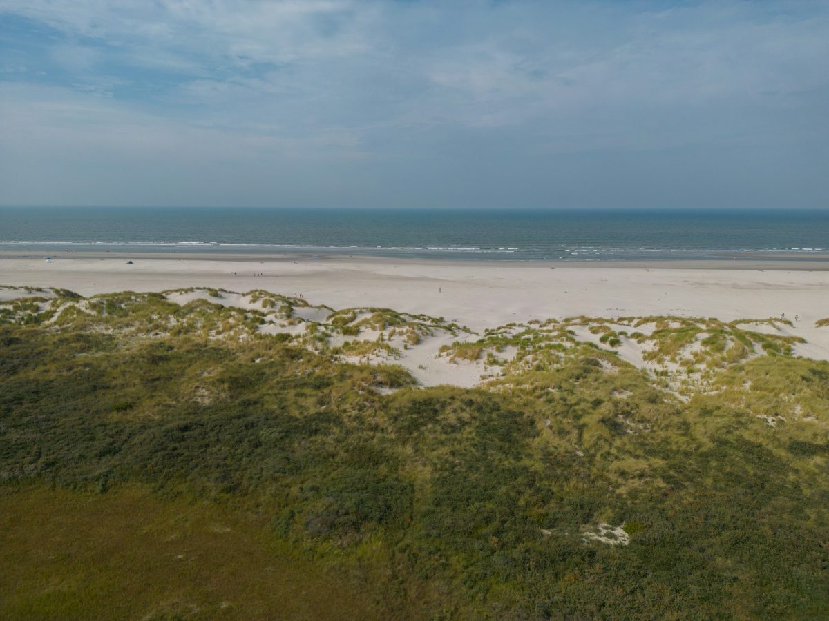 Waddenhof — view 4